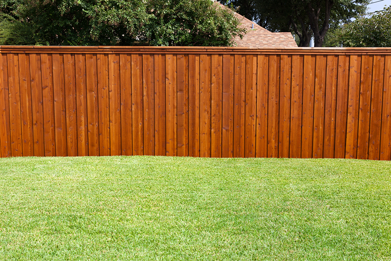 Fence-Staining-2